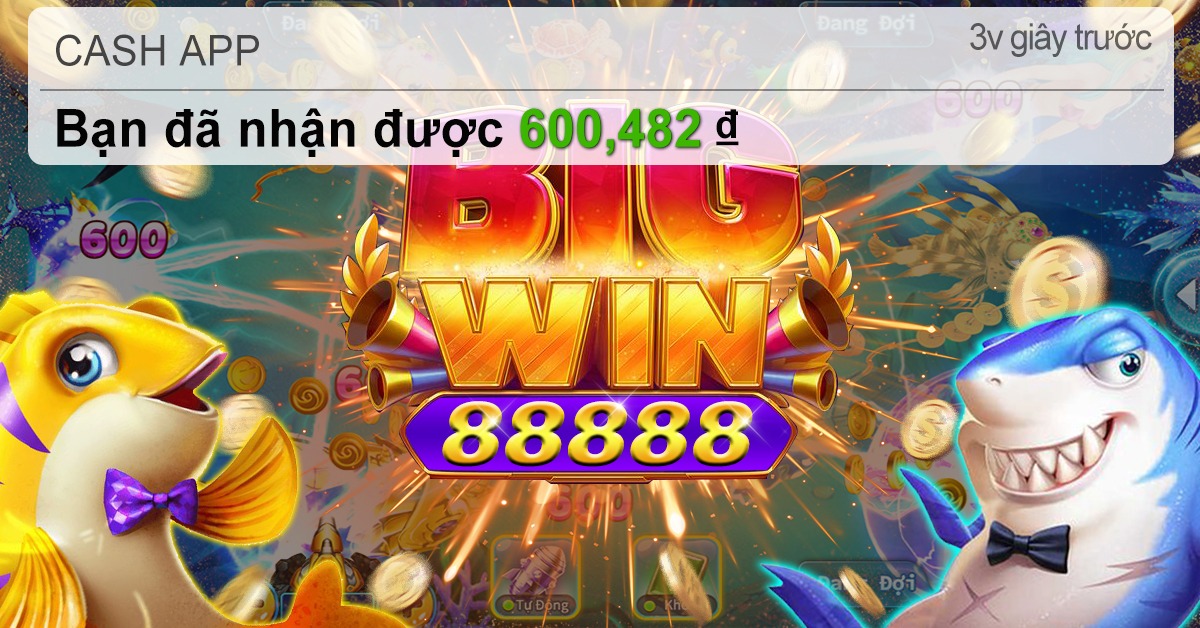 bk8bv